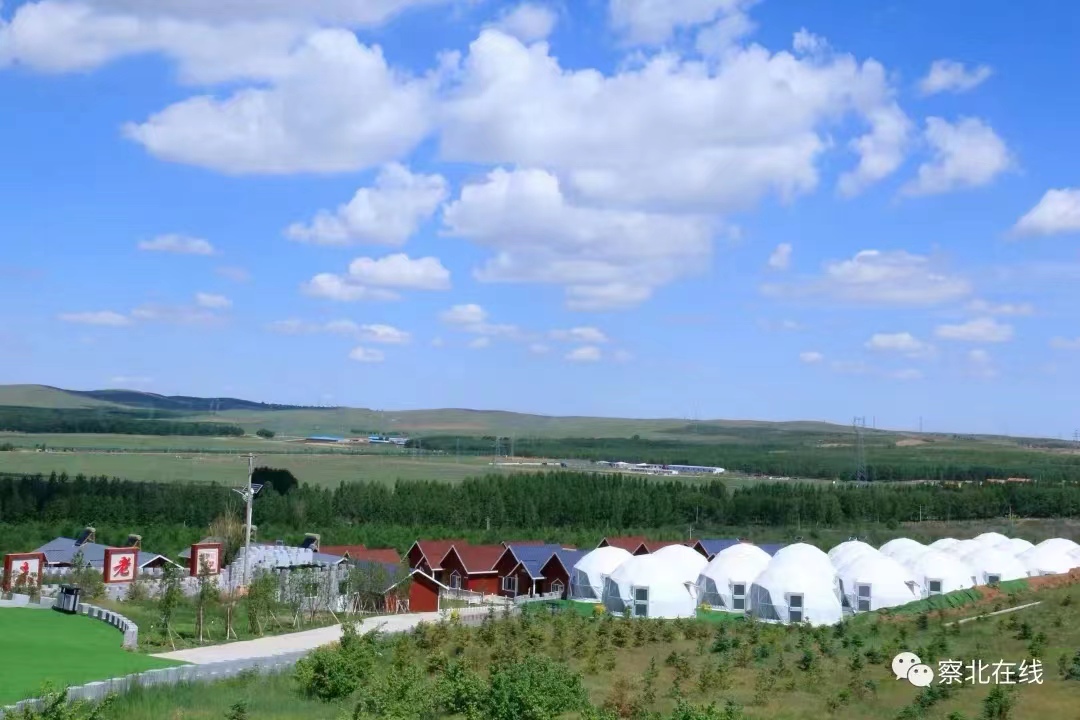 1690160113807217.jpg bf40d3dc6a12fa027ef81ac0daf56a0.jpg