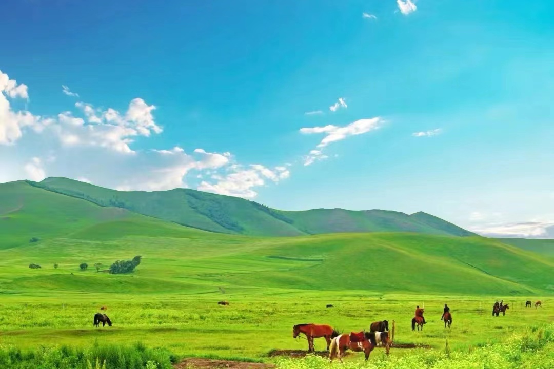 1690442958190319.jpg eab8584a7b3ed7d6d9f2cfc7d03952a.jpg