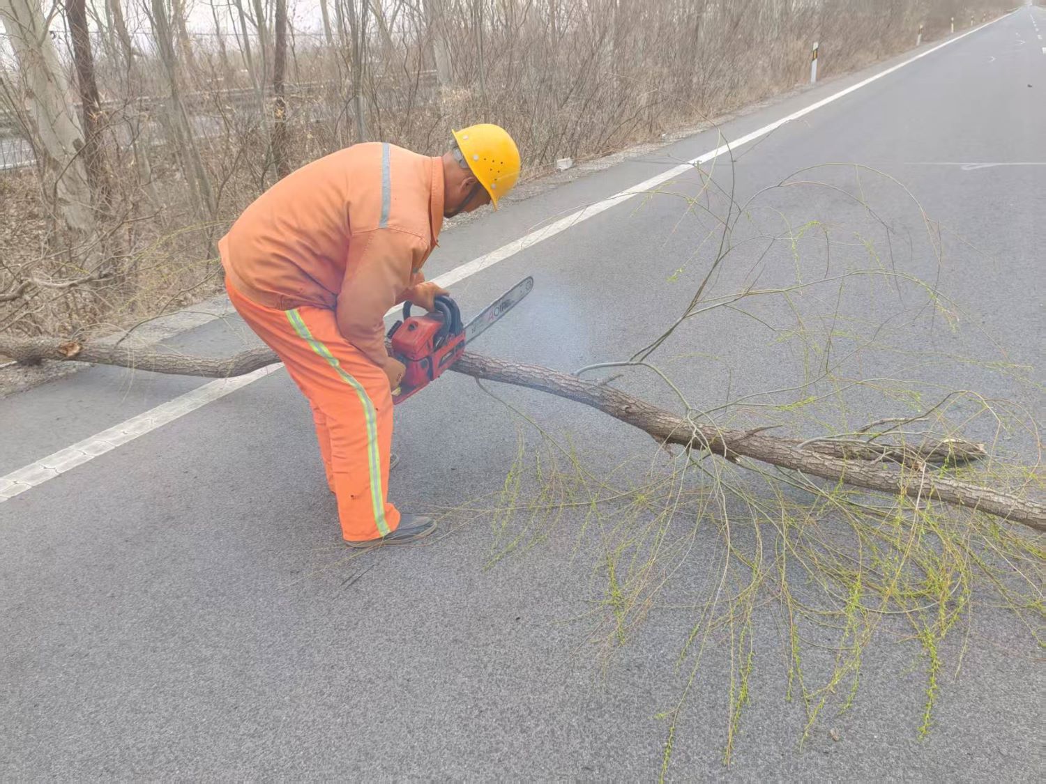 1744356064372044.jpg 微信圖片_20250411151827.jpg