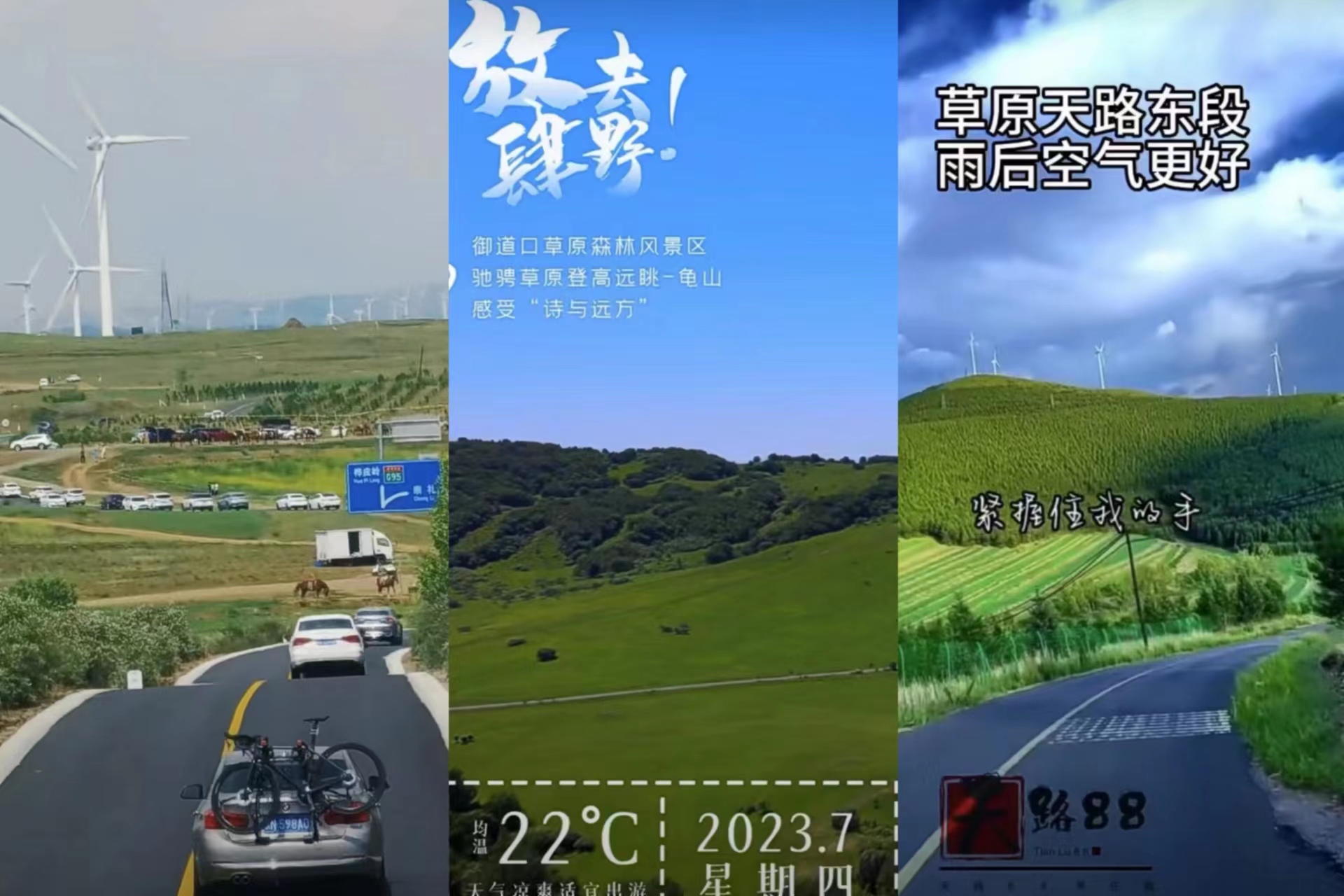 1689563155455021.jpg c4282210426a5cc3e9b1a2343b44694.jpg